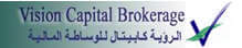 vision capital